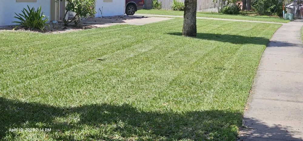 Trusted residential landscaping for outdoor upgrades across Melbourne, FL - Hutker Property Solutions