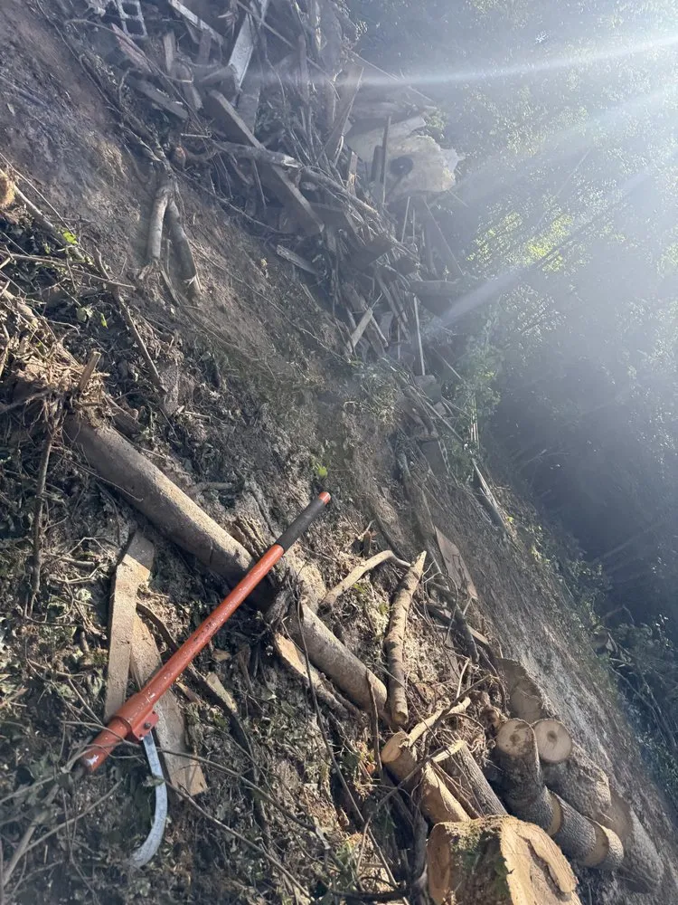 Expert yard maintenance in Kingsport, TN by Hutsons Landscaping