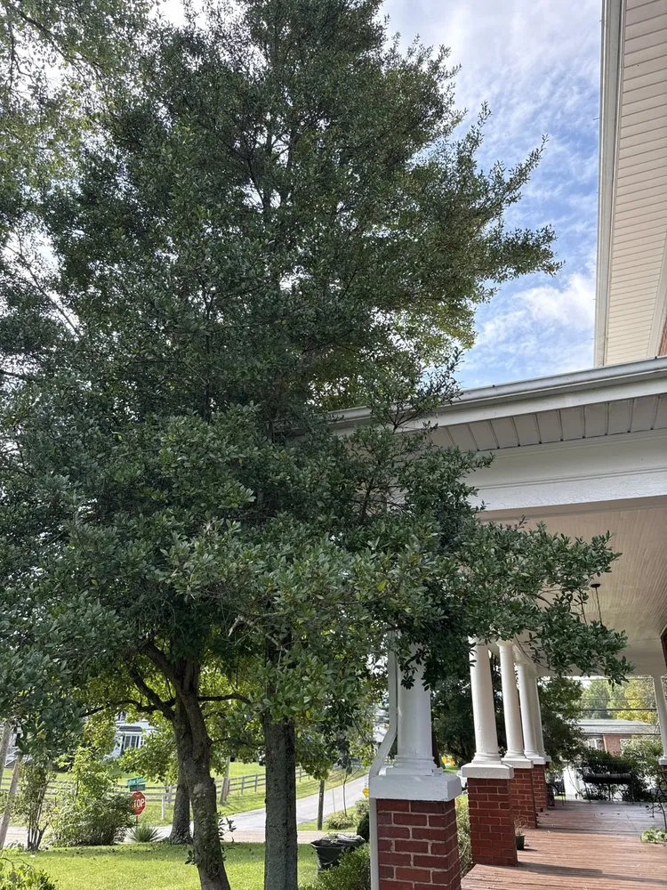 Affordable lawn mowing service with custom design across Kingsport, TN - Hutsons Landscaping