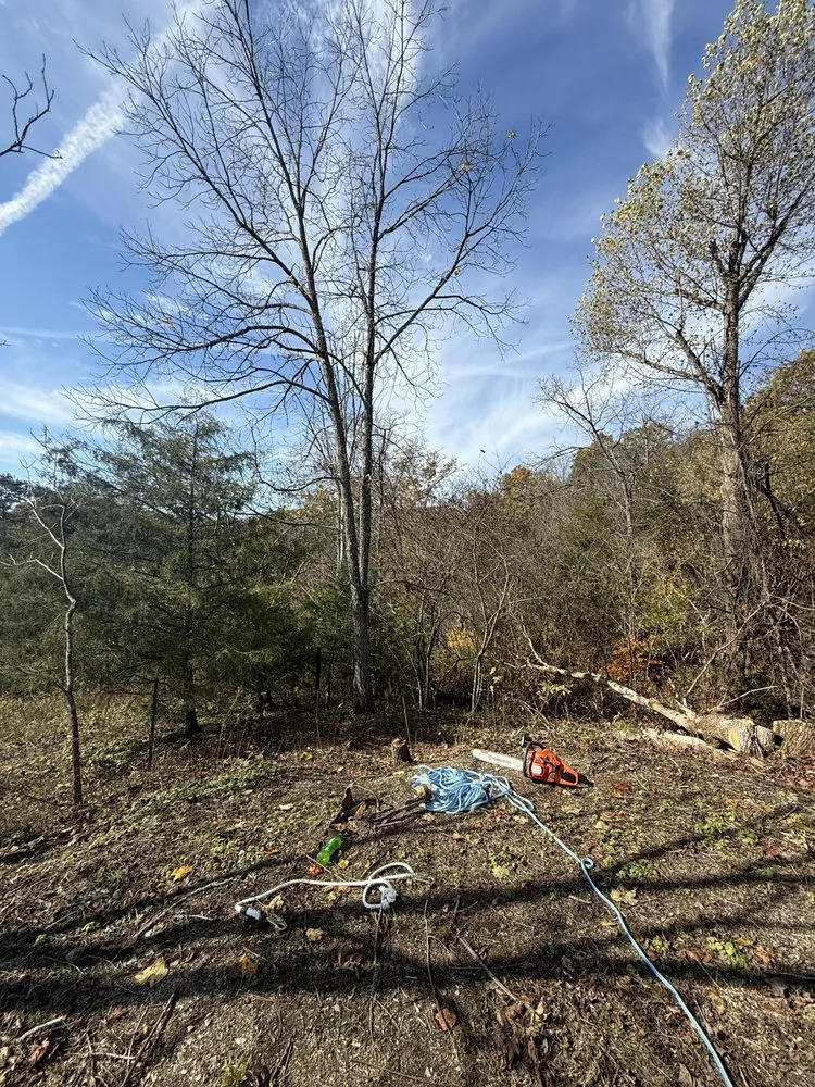 Custom garden landscaping with custom design across Kingsport, TN - Hutsons Landscaping