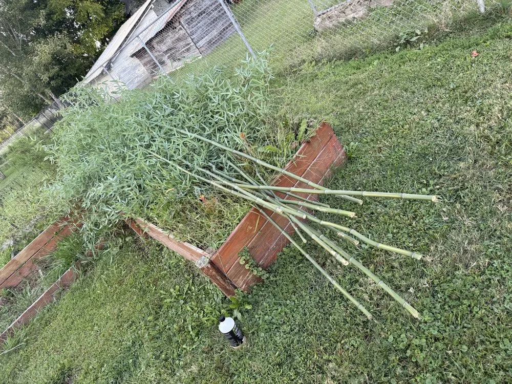 Local landscape design experts serving Kingsport, TN - Hutsons Landscaping