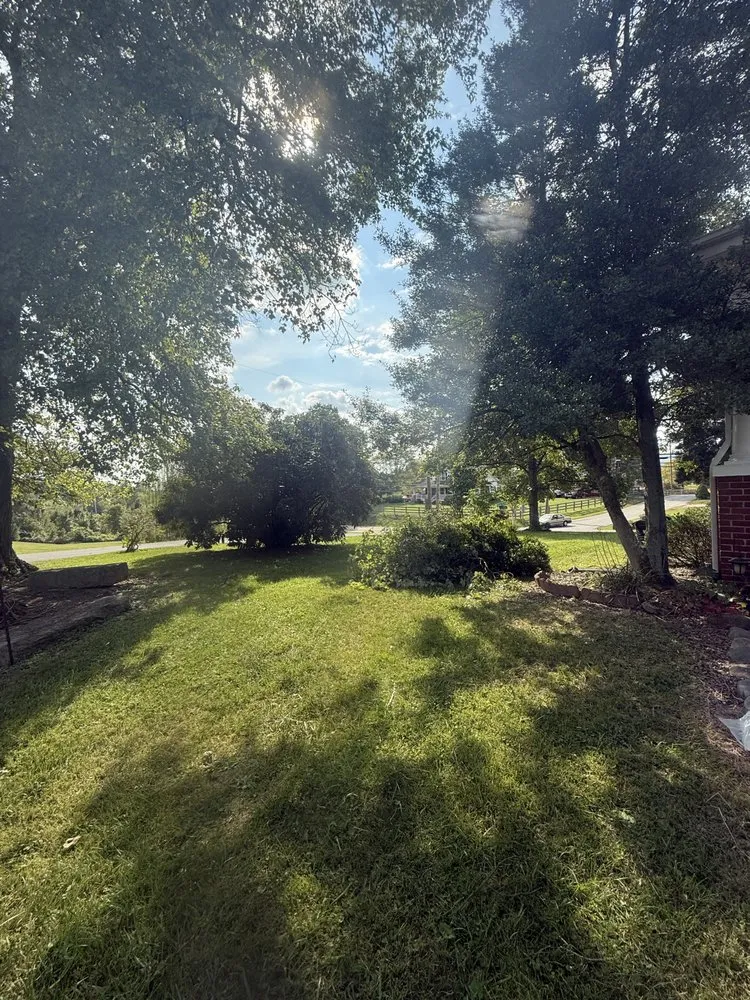 Trusted yard cleanup service in Kingsport, TN by Hutsons Landscaping