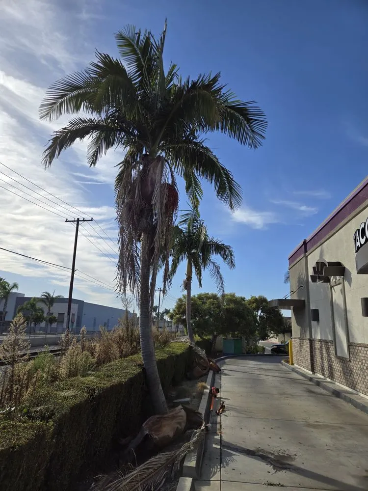 Affordable landscape installation for homes across Anaheim, CA - H.V Garden Service