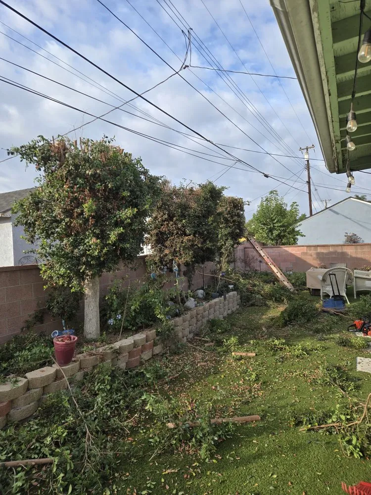 Trusted landscaping services for beautiful yards across Anaheim, CA - H.V Garden Service