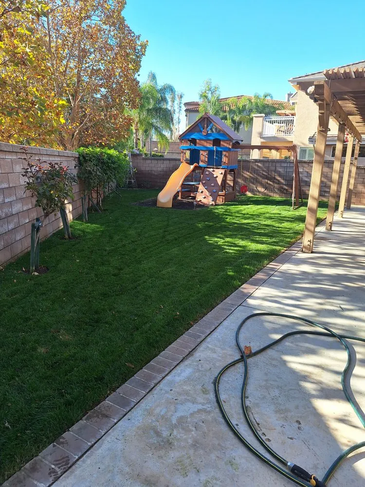 Top-rated yard maintenance near you across Anaheim, CA - H.V Garden Service