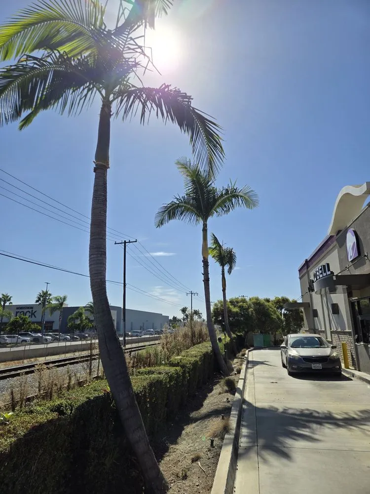 Trusted outdoor landscaping for beautiful yards across Anaheim, CA - H.V Garden Service