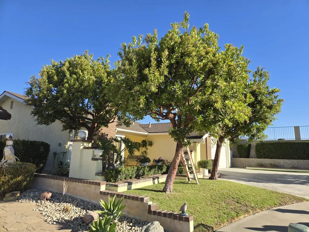 Expert landscape installation for homes in Anaheim, CA by H.V Garden Service