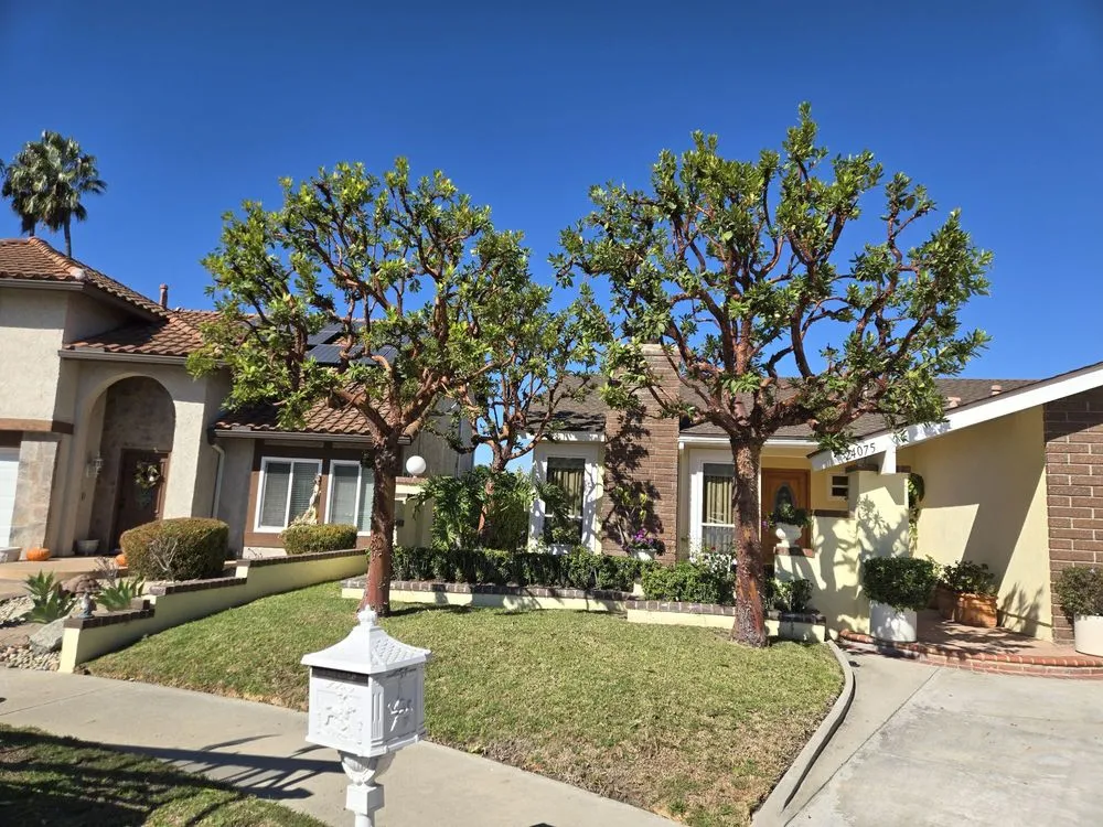 Professional garden landscaping for residential properties across Anaheim, CA - H.V Garden Service