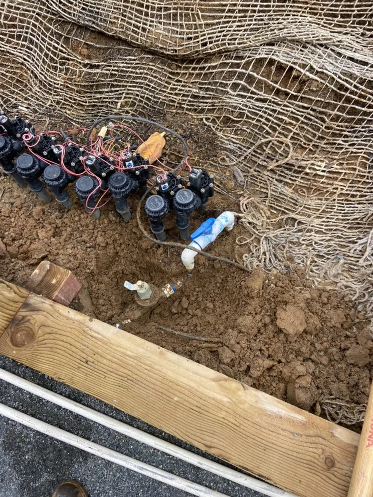 Trusted lawn mowing service in Escondido, CA - HV Landscaping