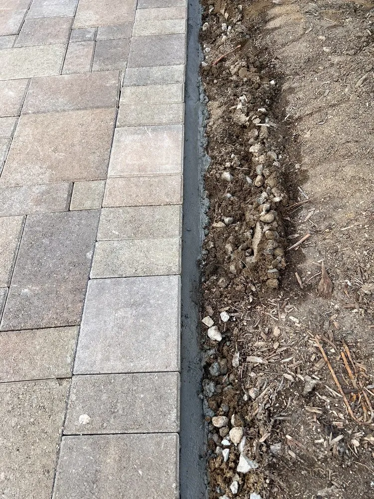 Professional yard cleanup service for year-round maintenance in Escondido, CA by HV Landscaping