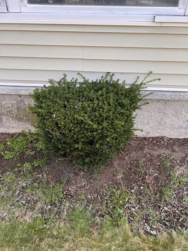 Professional landscape design for outdoor upgrades across Providence, RI - H&V Landscaping