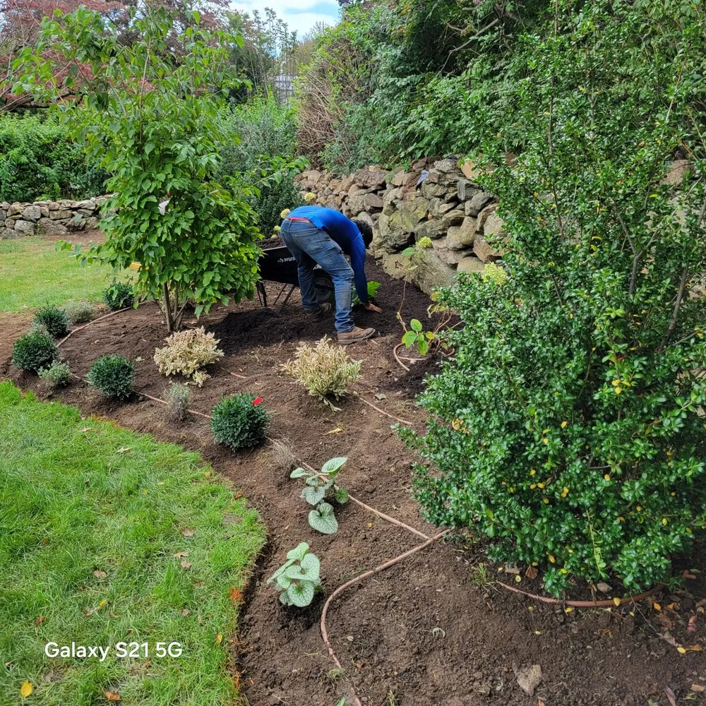 Reliable yard maintenance near you in Stamford, CT by HV Landscaping Services