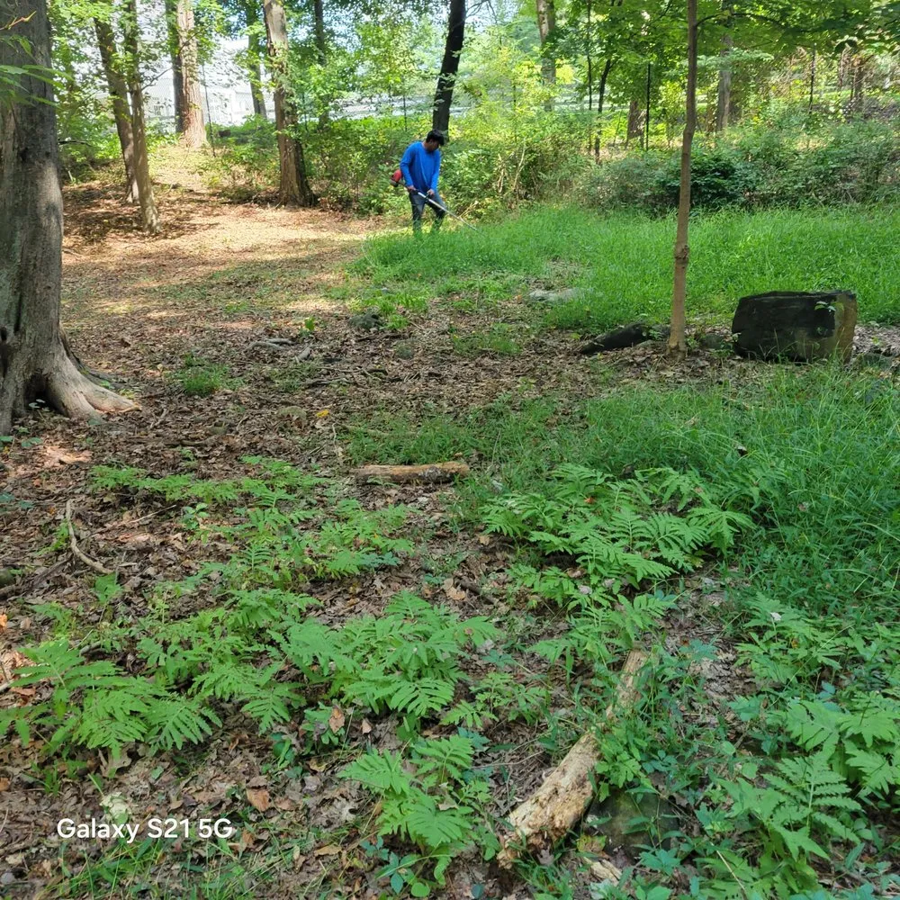 Reliable landscaping services in Stamford, CT by HV Landscaping Services