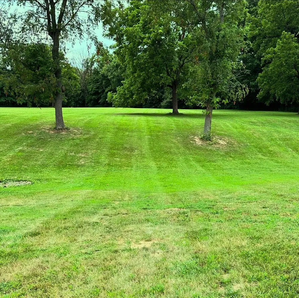 Reliable garden landscaping for year-round maintenance across Mount Zion, IL - HV Lawn Care