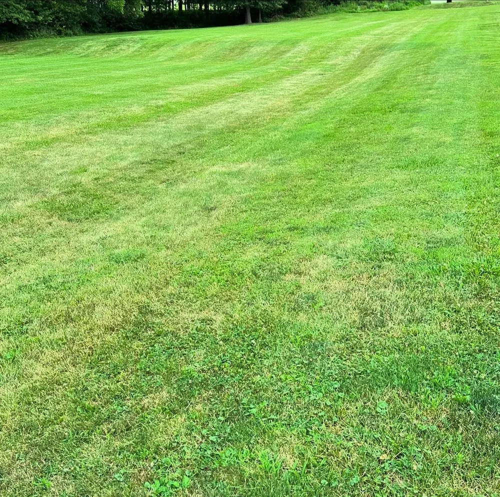 Professional outdoor landscaping for residential properties across Mount Zion, IL - HV Lawn Care