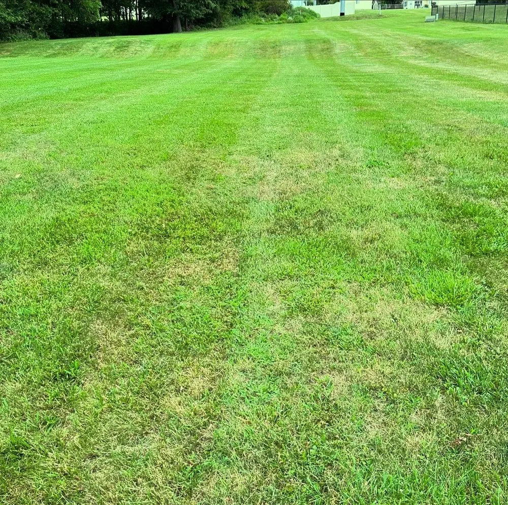 Trusted outdoor landscaping experts serving Mount Zion, IL - HV Lawn Care