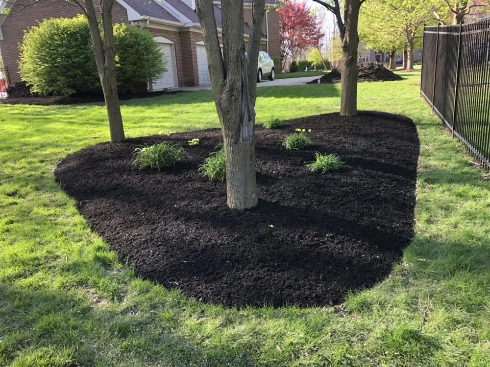 Reliable yard maintenance experts serving Avon, IN - HV Residential Services
