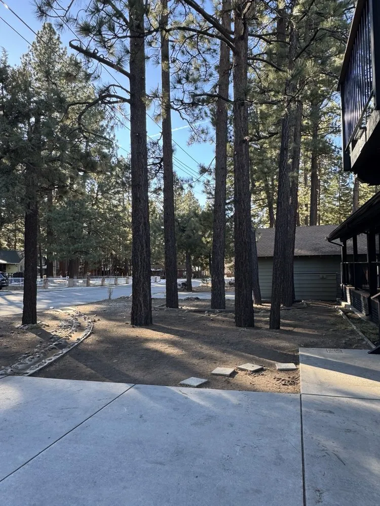 Reliable garden landscaping for year-round maintenance across Colton, CA - HVA Tree Care