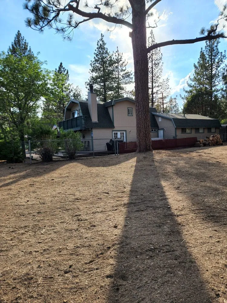 Local yard maintenance for year-round maintenance in Colton, CA by HVA Tree Care