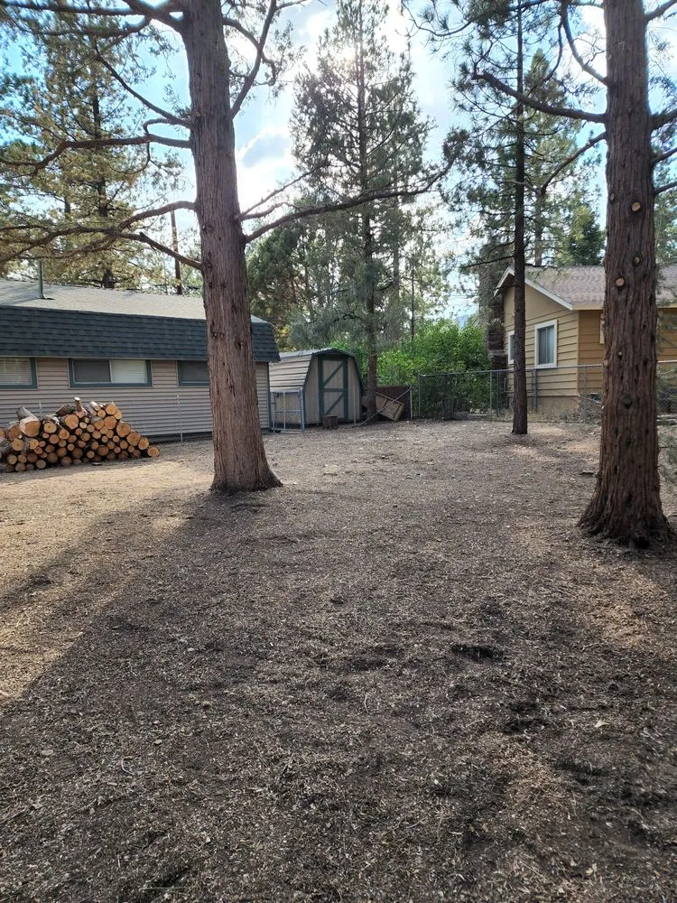 Top-rated yard cleanup service for year-round maintenance in Colton, CA by HVA Tree Care