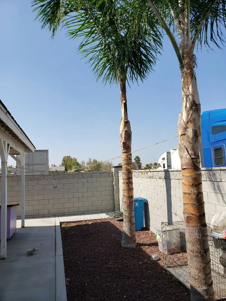 Custom landscape installation experts serving Colton, CA - HVA Tree Care