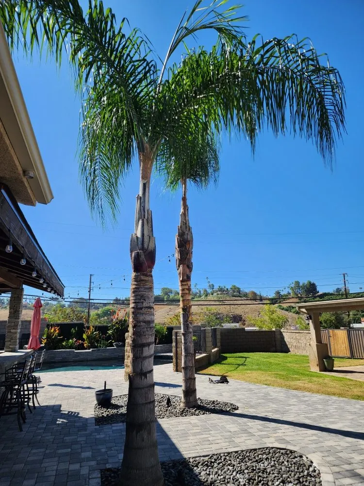 Professional garden landscaping near you across Colton, CA - HVA Tree Care