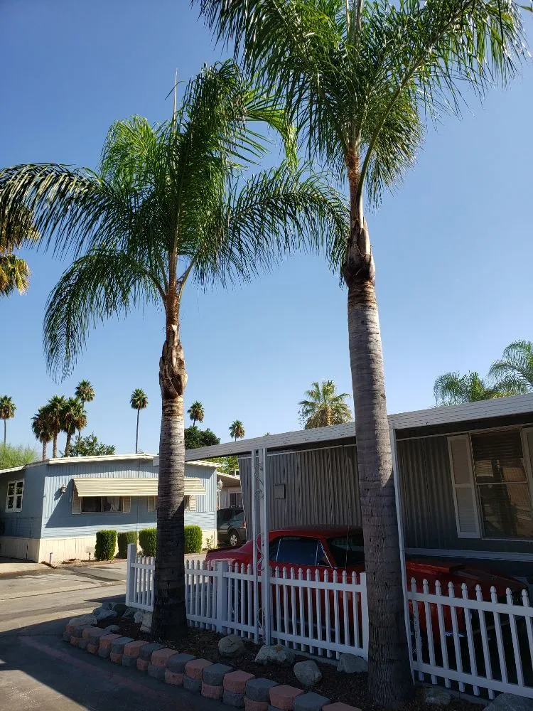 Professional garden landscaping experts serving Colton, CA - HVA Tree Care