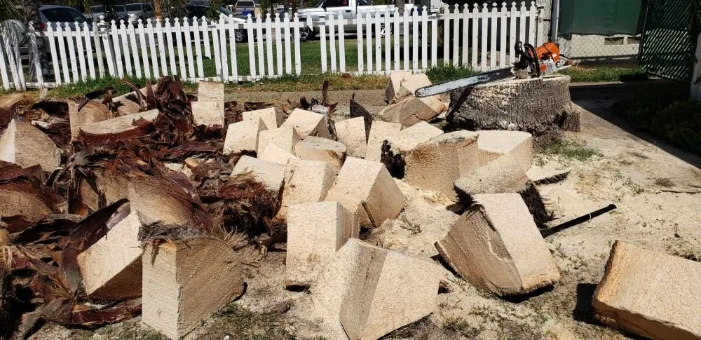 Custom lawn care service experts serving Colton, CA - HVA Tree Care