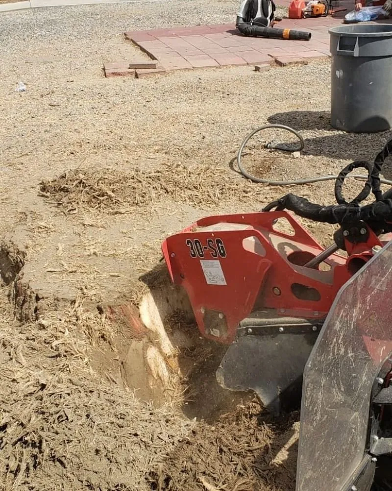 Expert landscaping services in Colton, CA by HVA Tree Care