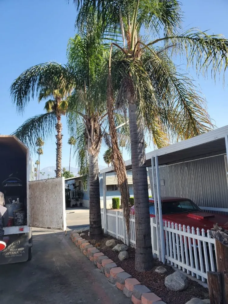 Custom landscaping services for outdoor upgrades in Colton, CA by HVA Tree Care