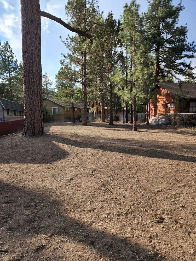 Expert yard maintenance for beautiful yards across Colton, CA - HVA Tree Care