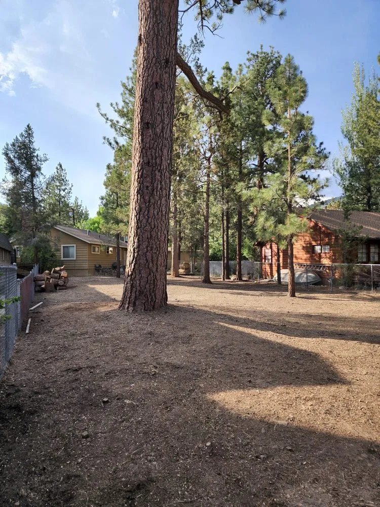 Custom landscape design for residential properties in Colton, CA by HVA Tree Care