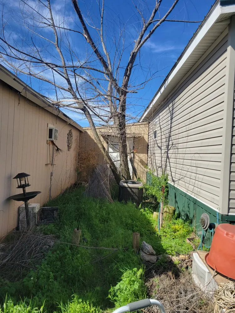 Professional yard maintenance for year-round maintenance in Lexington, OK by H&W Landscaping & Construction