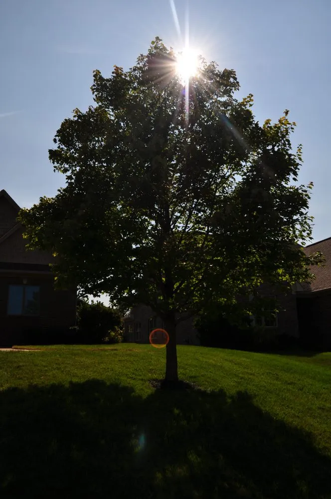 Professional outdoor landscaping for homes in Greenwood, IN by H&W Landscaping and Carwashing