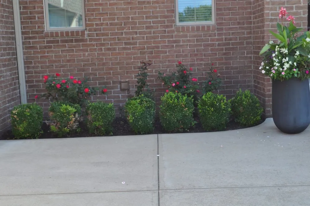 Local outdoor landscaping experts serving Greenwood, IN - H&W Landscaping and Carwashing