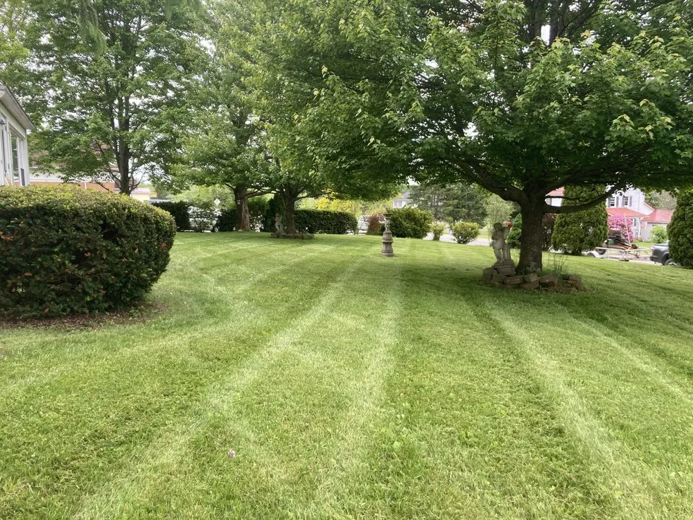 Expert yard cleanup service in Emlenton, PA - H&W Lawn And Landscape