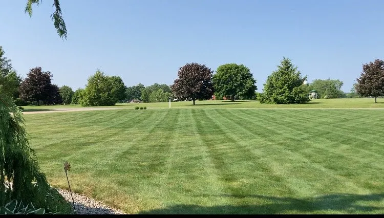 Top-rated yard cleanup service near you in Emlenton, PA by H&W Lawn And Landscape