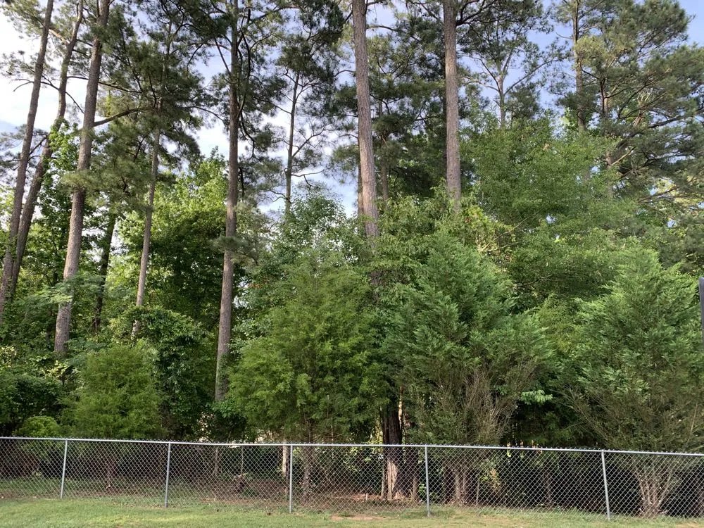 Reliable landscape design in Tuscaloosa, AL - H&W Lawn Care