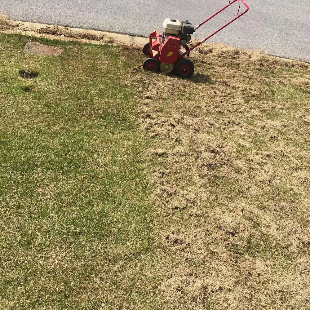 Professional landscape design for outdoor upgrades across Tuscaloosa, AL - H&W Lawn Care