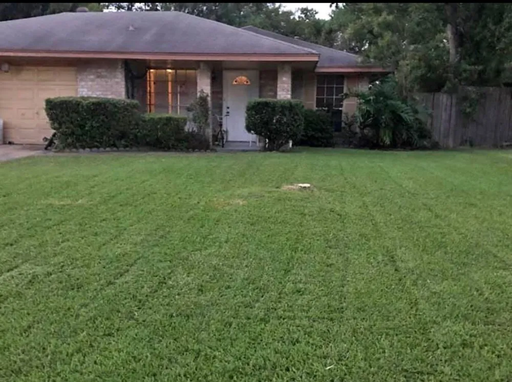 Top-rated lawn mowing service in Alvin, TX - Hwy 6 lawn Services