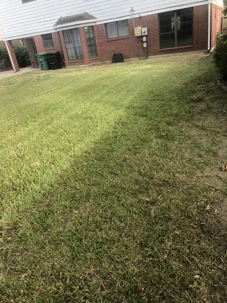 Affordable residential landscaping in Alvin, TX - Hwy 6 lawn Services