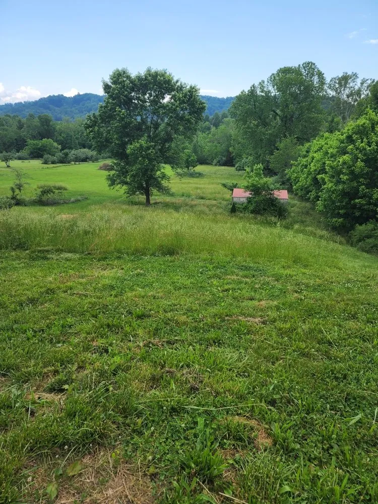 Professional landscape installation near you across Jonesborough, TN - Hwy 81 Lawn & Maintenance