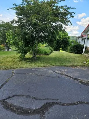 Hwy 81 Lawn & Maintenance