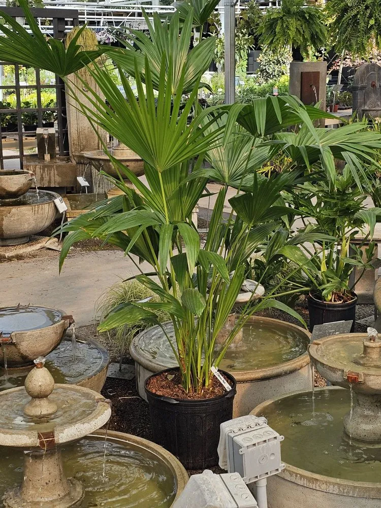 Top-rated outdoor landscaping for outdoor upgrades in Charleston, SC by Hyams Garden & Accent Store