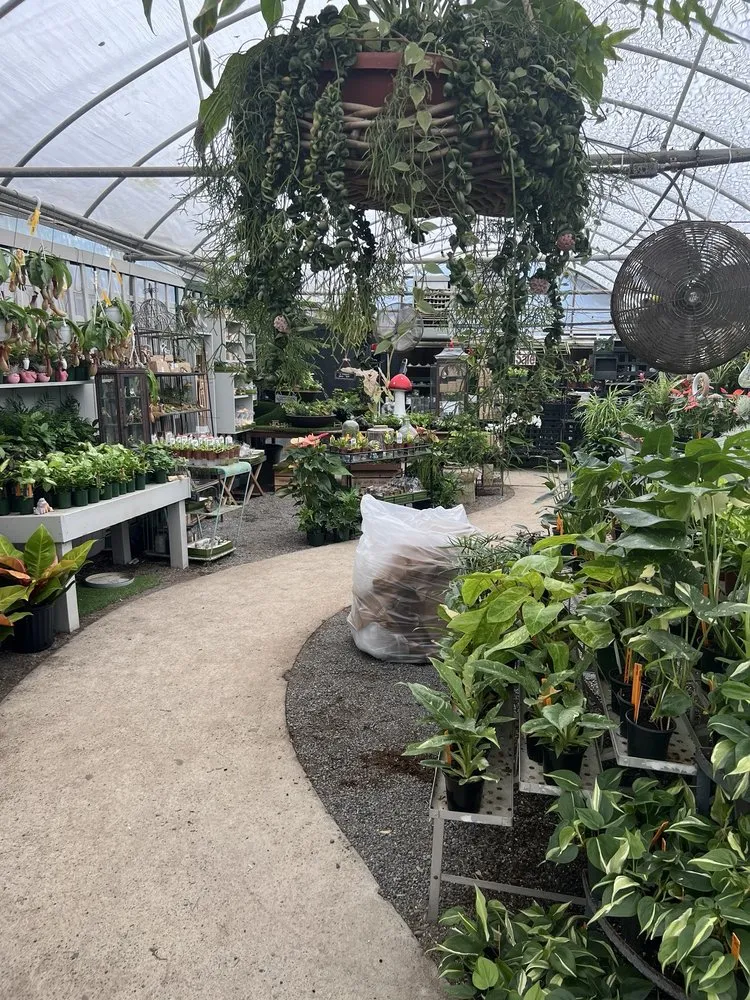 Trusted outdoor landscaping for homes across Charleston, SC - Hyams Garden & Accent Store