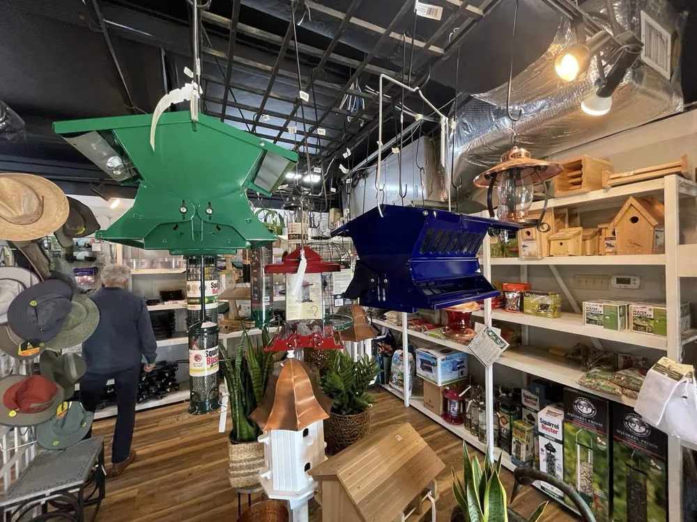 Affordable landscape installation experts serving Charleston, SC - Hyams Garden & Accent Store