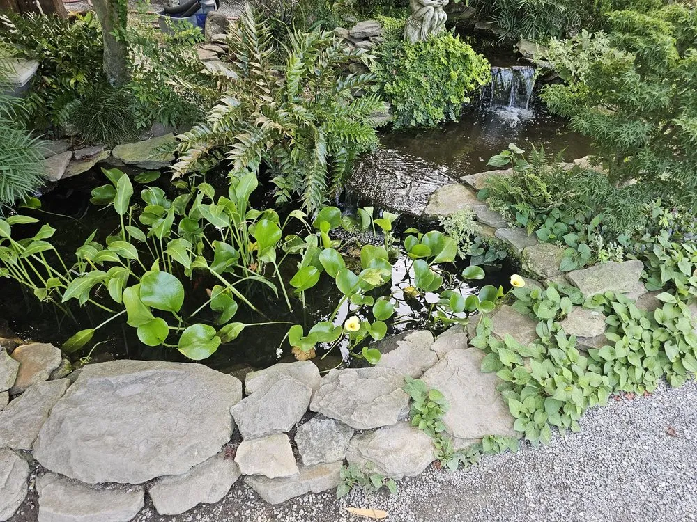 Trusted outdoor landscaping in Charleston, SC by Hyams Garden & Accent Store