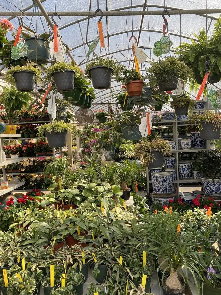 Professional landscaping services for year-round maintenance in Charleston, SC by Hyams Garden & Accent Store