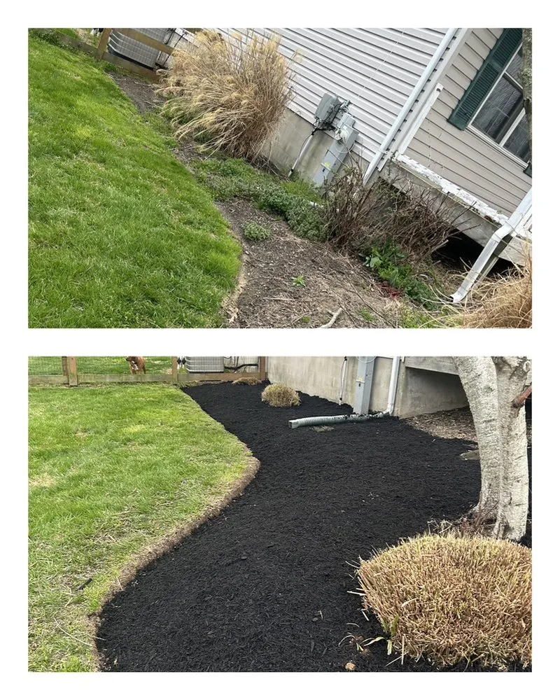 Top-rated yard cleanup service experts serving Crownsville, MD - Hyatt Landscaping