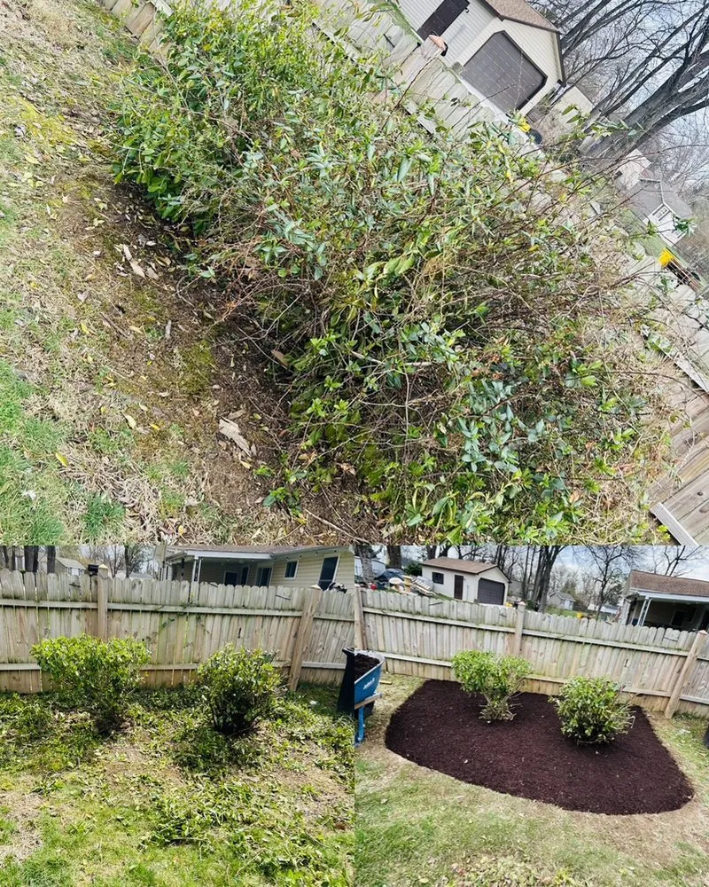 Expert landscape design in Crownsville, MD - Hyatt Landscaping